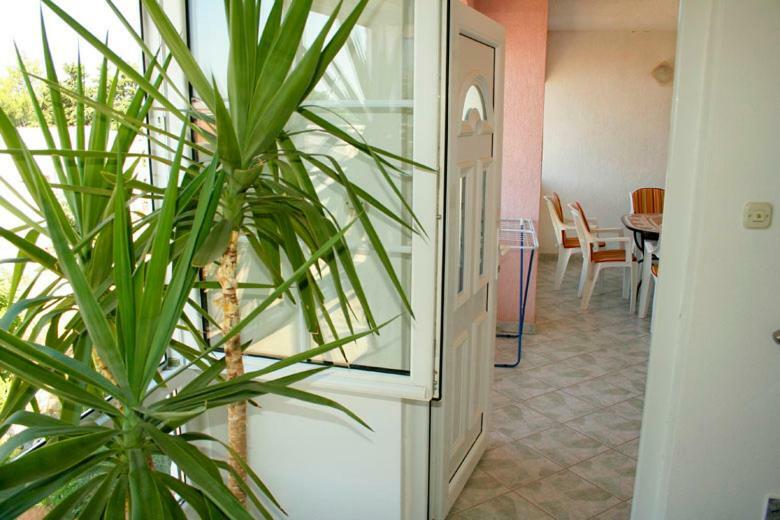 Apartments Mirjana - Stara Novalja Eksteriør billede